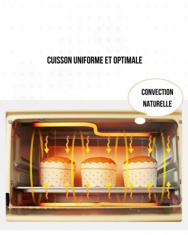 Four électrique automatique